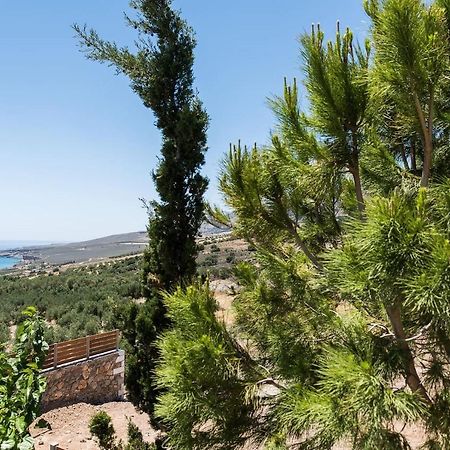 Villa Olvia 스파키아 외부 사진