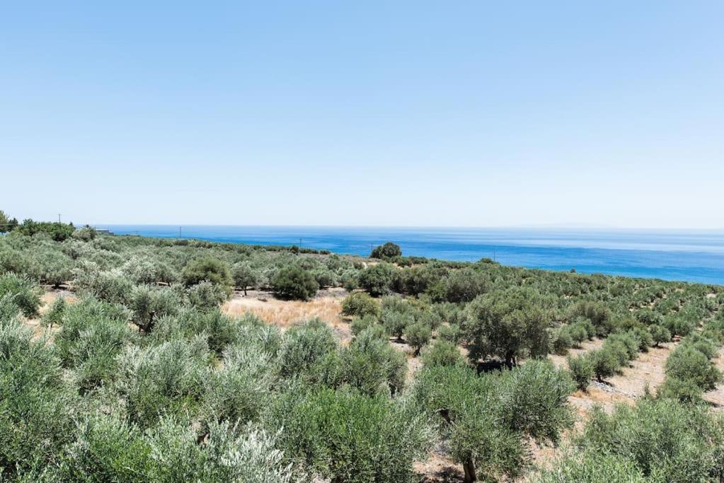 Villa Olvia 스파키아 외부 사진